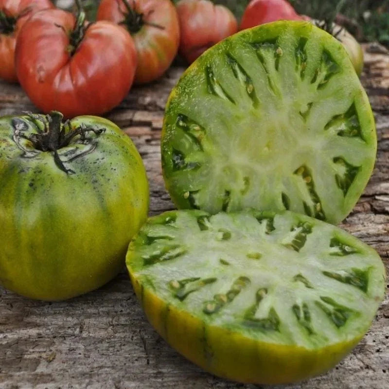 Cherokee Green Tomato Seeds - 10+ Heirloom Non-GMO - Rare Variety - Solanum lycopersicum