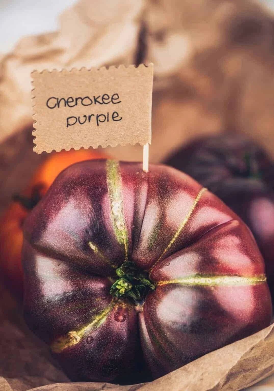 Cherokee Purple Tomato Seeds - 30+ Heirloom Non-GMO Organic Seeds - Fresh, Rich Flavor, Solanum lycopersicum