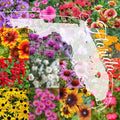 Northern Florida Wildflower Seed Mix 1 Pound Bulk, Covers 2,000 sq ft, Native Flowers for Gardens, Eco-Friendly Seed Blend
