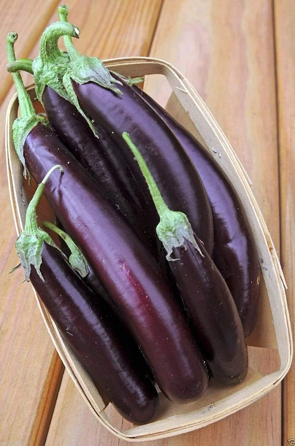 250 Long Purple Eggplant Seeds - Non-GMO Heirloom Vegetable Seeds for Planting (Solanum melongena)