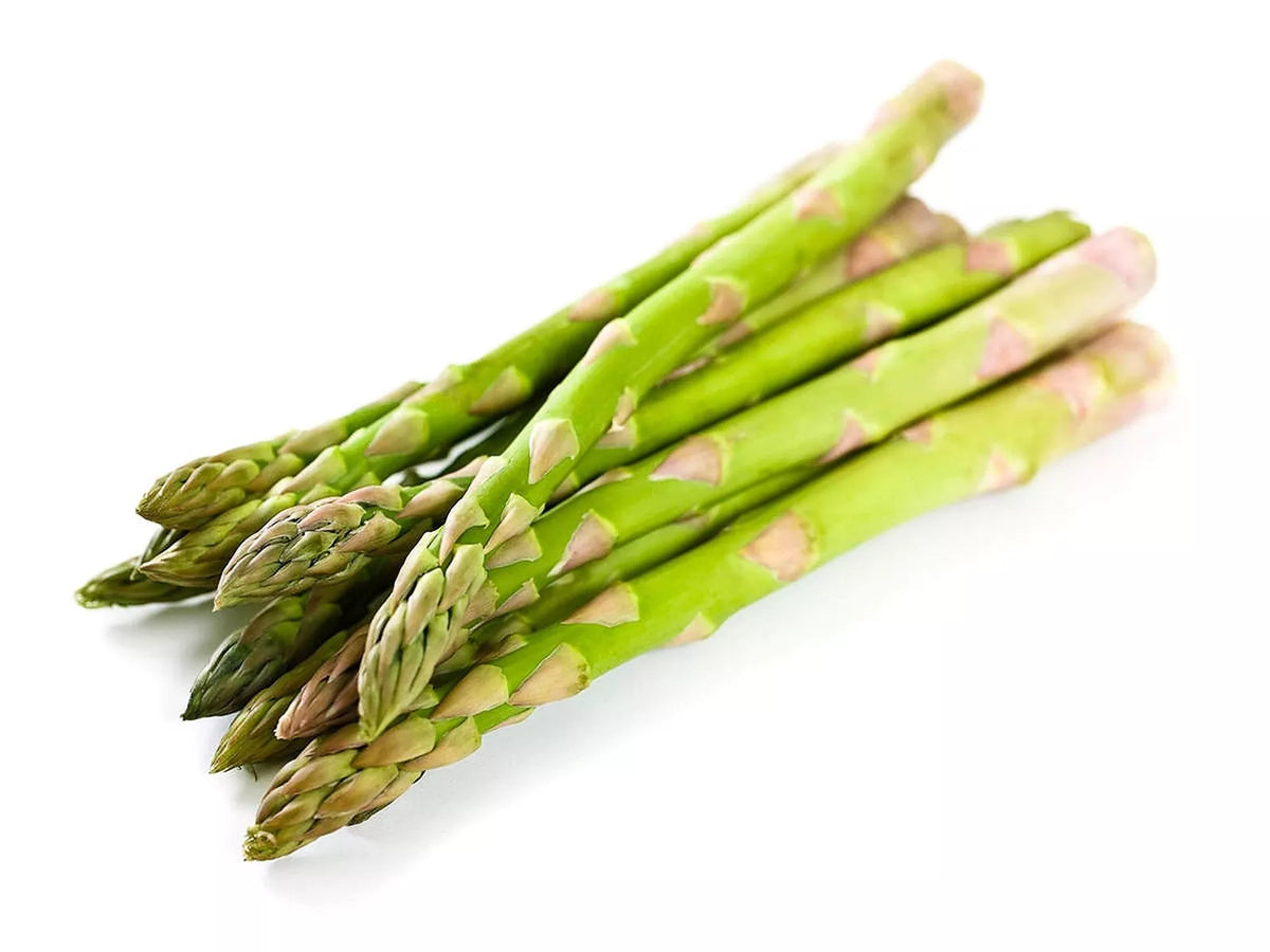 Mary Washington Asparagus Seeds - 100 Organic Heirloom Non-GMO Vegetable Seeds, Asparagus officinalis