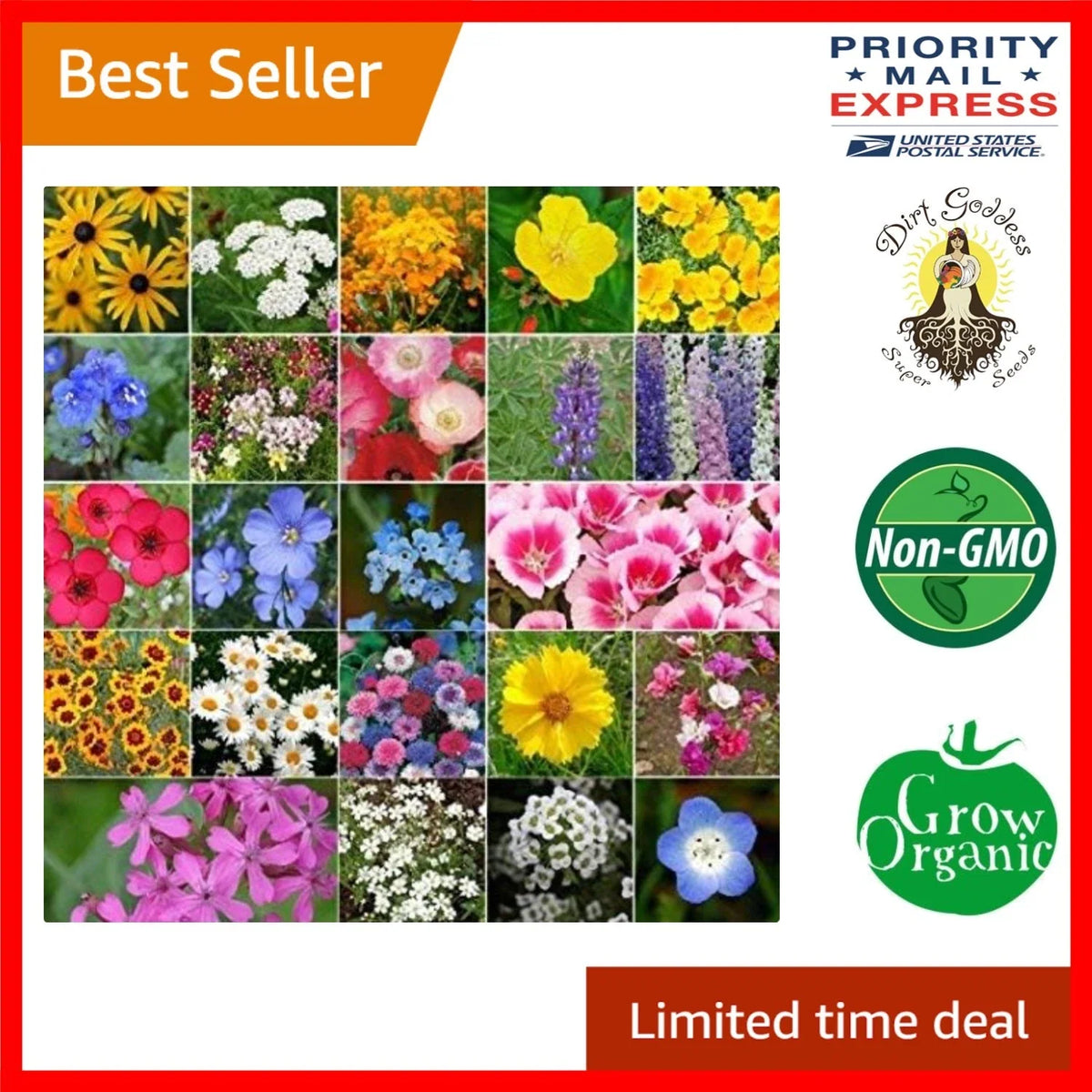 Bulk Wildflower Seed Mix - 1 lb Non-GMO Seeds for Vibrant Pollinator Gardens - Wildflowers Seed Blend