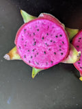 Dragon Fruit Cutting 6+ inches Purple Haze Organic Pitaya (Hylocereus undatus)