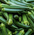 Emerald Okra Seeds - 100+ Non-GMO Seeds for Planting - Abelmoschus esculentus