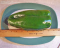 Big Bertha Sweet Pepper Seeds - Non-GMO Heirloom Organic - Capsicum annuum - Large Yield