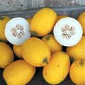 Mango Seeds 25 Seeds Vine Peach Mangifera indica - Made in USA, Ships from Iowa