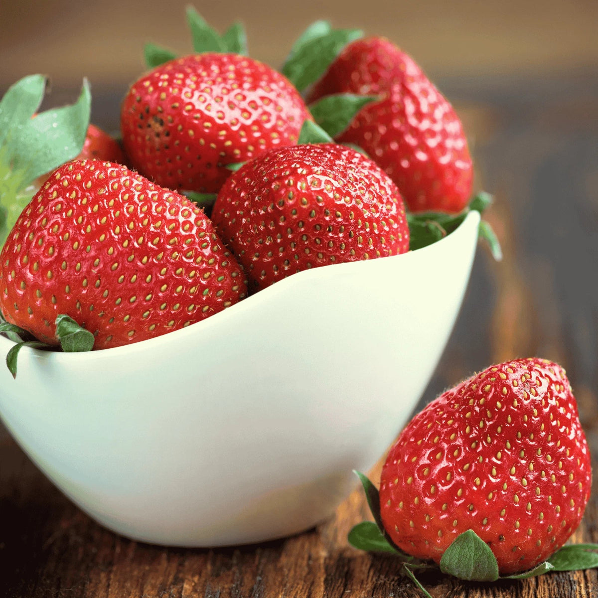 Cabot Strawberry Roots – Extra-Large Bare Root June-Bearing Plants, Fragaria × ananassa, Sweet Flavor