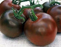 Black Prince Tomato Seeds - 120+ Heirloom Organic Non-GMO - Rare Variety - Solanum lycopersicum