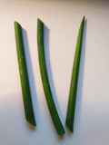 Fernwood Snake Plant Cuttings - 3 Unrooted Clippings - Sansevieria for Indoor Gardening & Home Decor