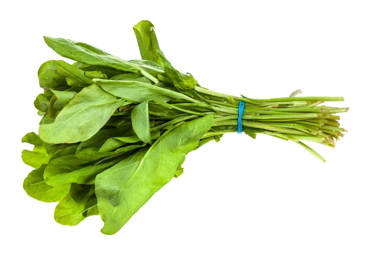 BROAD LEAF SORREL Seeds 1000+ Non-GMO Heirloom Herb (Rumex acetosa) - Culinary Garden Planting