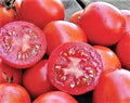 Siberian Tomato Seeds - 120+ Heirloom Organic Non-GMO Seeds - Lycopersicon esculentum