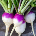 Purple Top White Globe Turnip Seeds - 100+ Seeds - Brassica rapa - Non-California Shipping