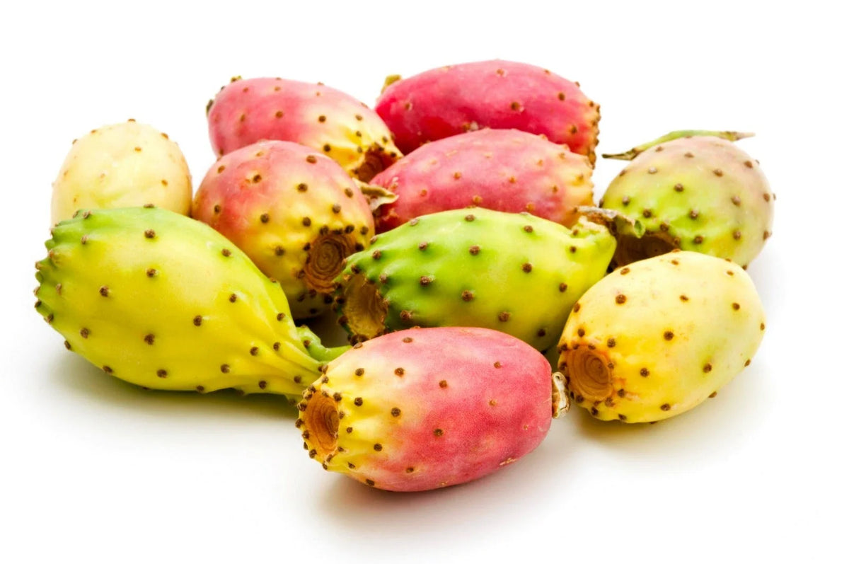Cactus Pear Seeds - 10 Pack - Opuntia ficus-indica - Edible Fruit - US Seller - Free Shipping