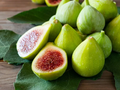 Green Ischia Fig Tree Cuttings - 2 Unrooted Ficus carica Cuttings with Willow Water Accessory