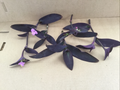 Purple Jade Succulent 6 Live Cuttings | Crassula ovata Unrooted Cuttings, Purple-Toned Jade