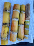 Sugarcane Cutting – Fresh Heirloom 4+ Bud Starter, Ready to Plant