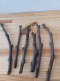 Dwarf Black Mission Fig Cuttings – 6 Fresh Unrooted Cuttings