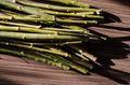 Globe Willow & Corkscrew Willow Cuttings – 20 Fresh Unrooted