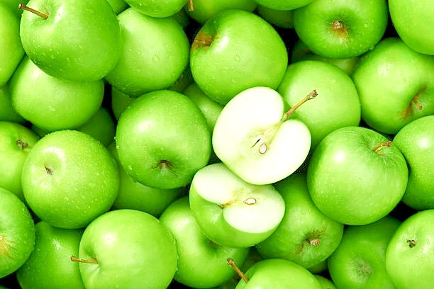 Granny Smith Apple Tree Scion Cuttings 5-Pack 6–10" - Grafting/Rooting