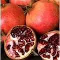 Pomegranate Unrooted Cuttings – 7 Punica granatum 6-Inch Live Cuttings for Propagation