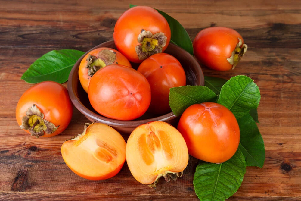 Kaki Persimmon Cuttings (Diospyros kaki) Tomel - 5 Unrooted Cuttings for Grafting
