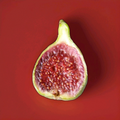 Strawberry Verte Fig Cutting - Unrooted 6-8 Inch Live Ficus carica Cutting