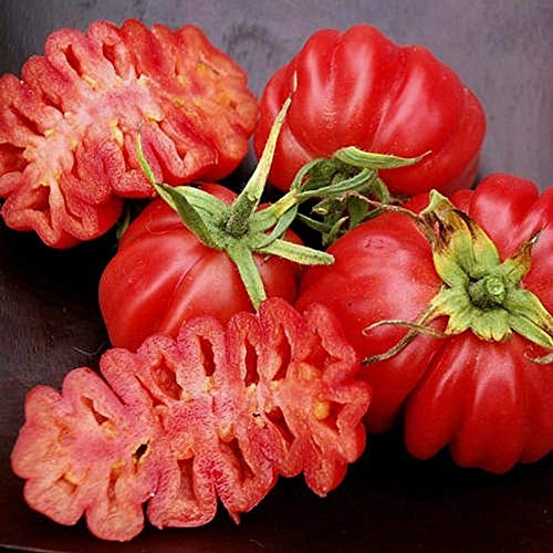25 Ruffled Tomato Seeds - Exotic Heirloom Solanum lycopersicum