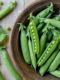 Sugar Daddy Snow Pea Seeds (100) – Stringless, Dwarf Pisum sativum for Cool-Season Gardens