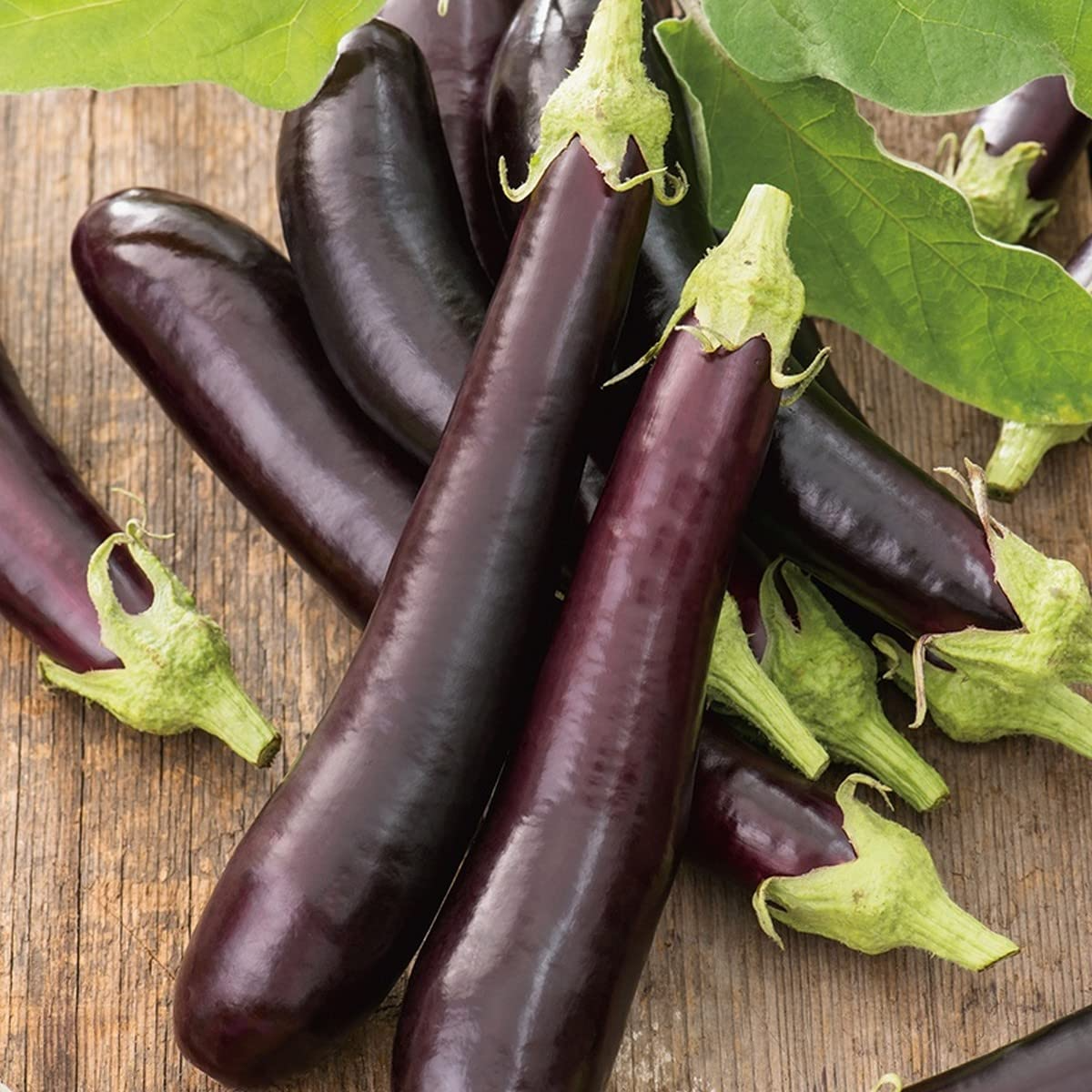 150 Long Purple Eggplant Seeds | Solanum melongena – Heirloom, Non-GMO
