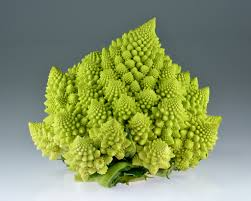 Romanesco Broccoli Seeds - 250+ Brassica oleracea, Non-GMO Heirloom, Spiral Heads
