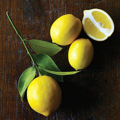 Meyer Lemon Tree Scions Cuttings (3) for Rooting and Grafting