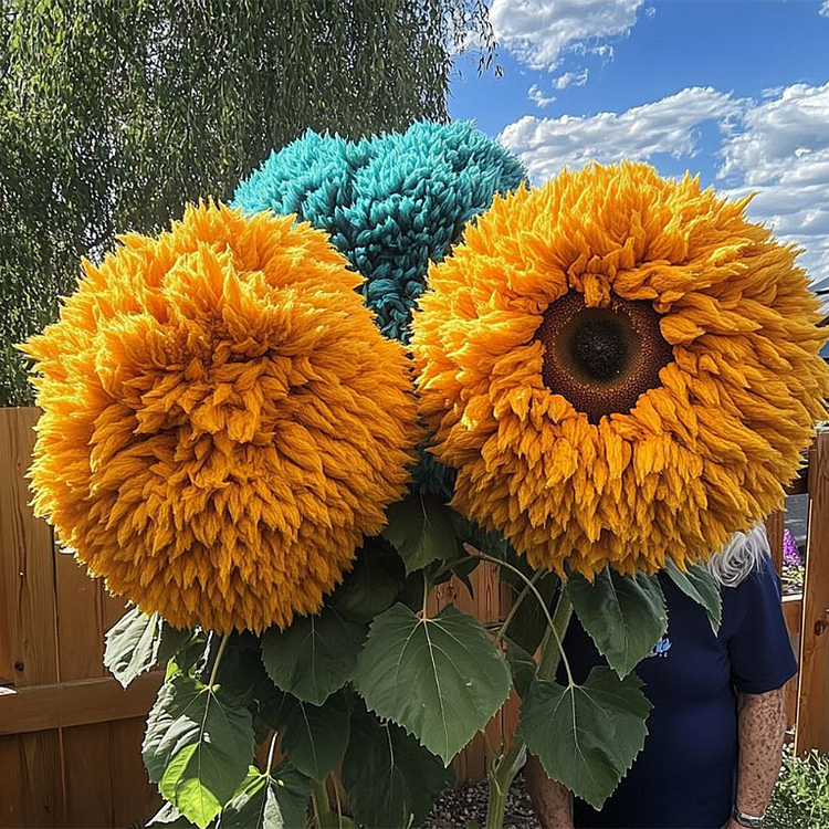 Yellow & Blue Enchanting Giant Teddy Bear Sunflower Seeds – 50 Seeds