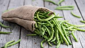 Provider Green Bush Bean (Phaseolus vulgaris) - 20 Seeds | Heirloom, Early Maturing
