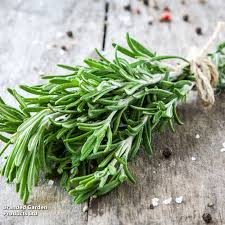 Rosemary Herb Seeds - Salvia rosmarinus, 100 mg for Planting