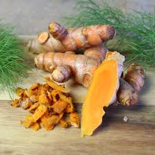 Turmeric Root Bulbs (Curcuma longa) | 6 Live Rhizomes, Tropical Ginger Family, Zones 8-11