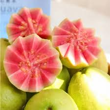 Tropical Strawberry Guava Seeds (Psidium cattleianum) – 50 Organic Seeds, Pink Guava Flavor
