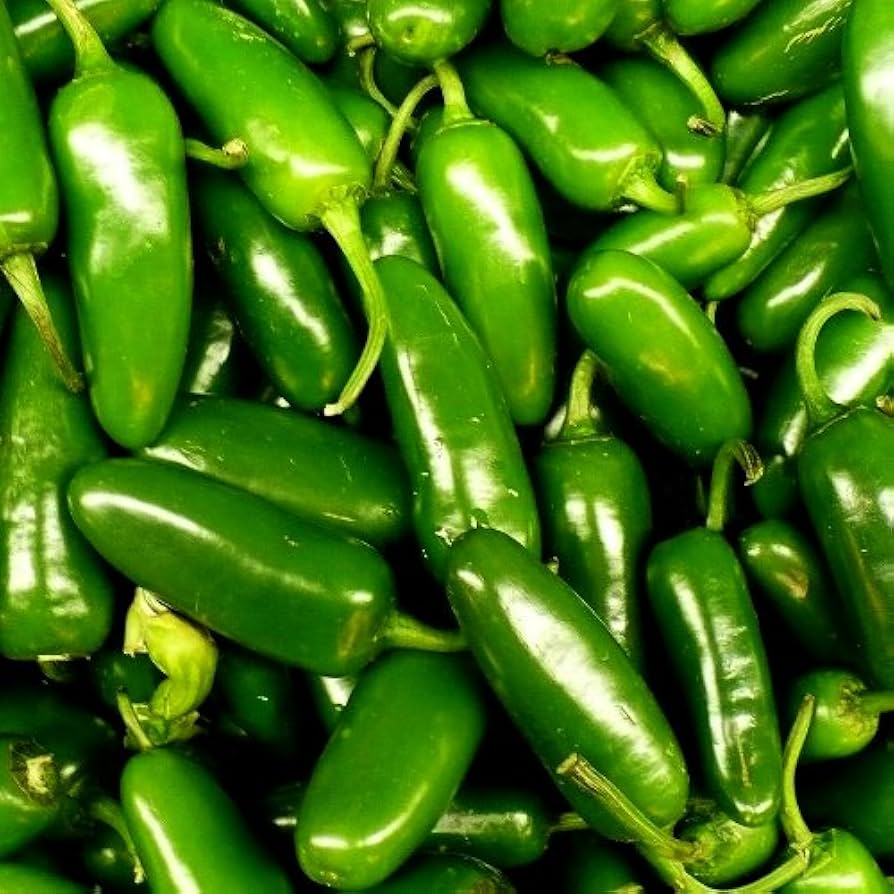 Jalapeño Pepper Seeds - 100+ Capsicum annuum Heirloom, Medium-Heat for Salsa, Pickling, Grilling