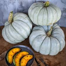 Jarrahdale Pumpkin Seeds - Blue Winter Squash (Cucurbita maxima) | 10 Seeds