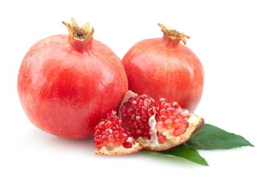 Pink & Sweet Pomegranate Cutting (Punica granatum) - 6–8" Unrooted Cutting for Rooting or Grafting