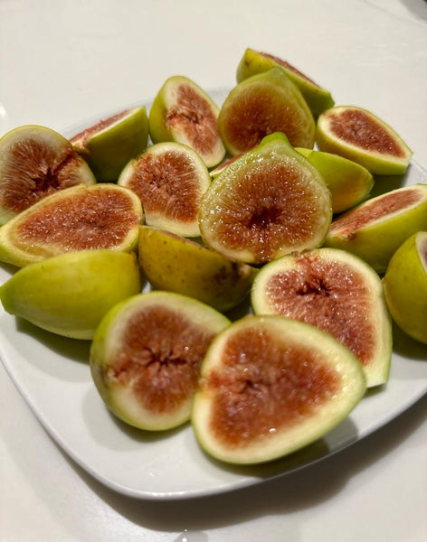 Brooklyn White Fig Unrooted Cuttings (2) + Willow Water for Rooting