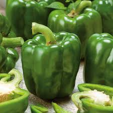 Large Green Bell Pepper Seeds (Capsicum annuum) - 100+ Non-GMO | Easy to Grow