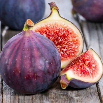 Monstrueuse Fig Unrooted Cuttings (3x) - Ficus carica, 5-6" Each