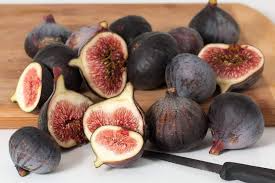 Olympian Fig Trees (Ficus carica) - 3 Live Starter Plants, Cold-Hardy Edible Fruit