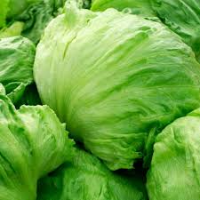 Iceberg Batavian Lettuce Seeds - 700 Seeds, Heirloom Heading Lettuce (Lactuca sativa)
