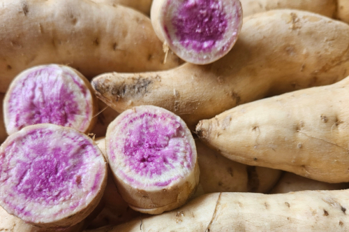 Okinawa Purple & Beauregard Sweet Potato Cuttings (5 Each) - Ipomoea batatas