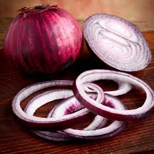 Onion Red Burgundy Short Day Seeds - Allium cepa, 70 Seeds for Early Spring Planting